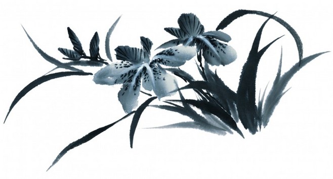 水墨花卉畫作賞析與苗木種植技術概述